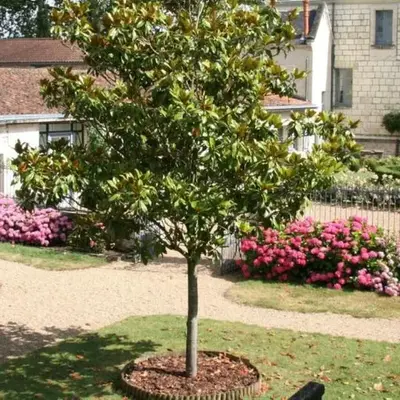Château de Bournand B&B