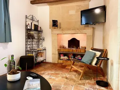Télévision ou salle de divertissement dans l'établissement Cosy Gîte à Azay-le-Rideau avec Wifi, Clim, tout inclus, idéal pour 2 adultes et 2 enfants, proche châteaux - FR-1-381-567