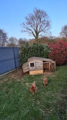 Jardin de l'établissement Maison 170m2 entre ville et campagne