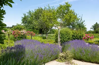 Jardin de l'établissement Chateau De Grazay