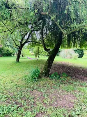 Jardin de l'établissement Country House - Garden - Private access to the Loir