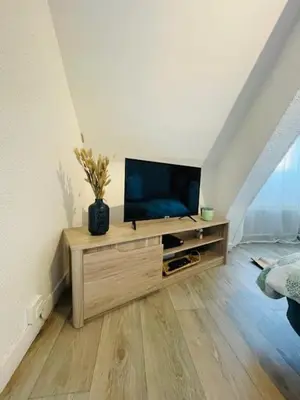 Télévision ou salle de divertissement dans l'établissement Le Studio - Rive droite - Wifi