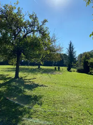 Paysage naturel près de le B&B/chambre d'hôtes