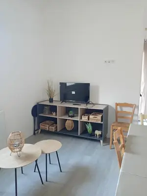 Télévision ou salle de divertissement dans l'établissement Appart 5 personnes