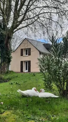 Jardin de l'établissement etang de la bibardiere