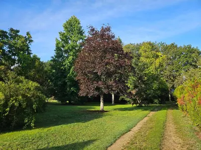 Jardin de l'établissement Les chambres d'Estelle