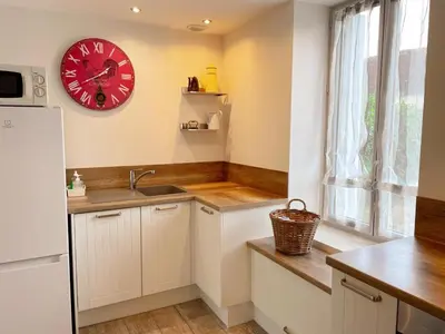 Cuisine ou kitchenette dans l'établissement Gîte tout confort près du Zoo de Beauval avec jardin, terrasses et équipements modernes - FR-1-491-356