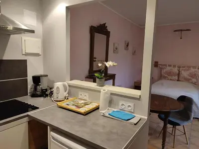 Cuisine ou kitchenette dans l'établissement Chaleureux studio avec jardin commun et parking, idéal pour un couple face à l'Abbaye de Pontlevoy - FR-1-491-363