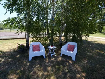 Jardin de l'établissement Gîte rustique à Cheverny: nature, tennis, animaux bienvenus, pêche et châteaux de la Loire à proximité - FR-1-491-366