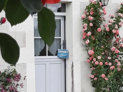 Jardin de l'établissement Maison familiale, nature et patrimoine, proche Chenonceaux - jardin, poêle à bois, équipements bébé - FR-1-491-411