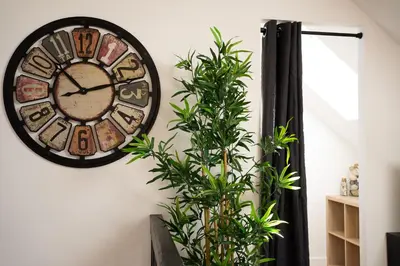 Plan de l'établissement Appartements plein centre, à 5 minutes du château