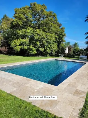 Piscine de l'établissement Nouveau! Propriété historique avec piscine, proche châteaux de la Loire et Futuroscope ou située à proximité