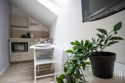 Cuisine ou kitchenette dans l'établissement Cassia - Face Gare De Tours
