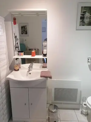 Salle de bains dans l'établissement Le Petit Chalet -Appartement proche de la vieille ville , du centre ville et du Tram- PETIT DEJEUNER OFFERT