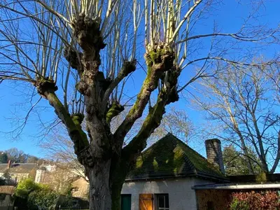 Bâtiment de la maison de vacances