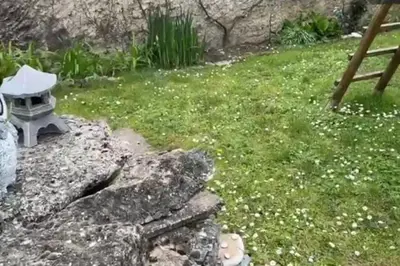 Jardin de l'établissement Belle maison sur Val de Loire