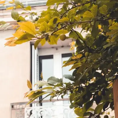 L'Etape - La Maison des amis