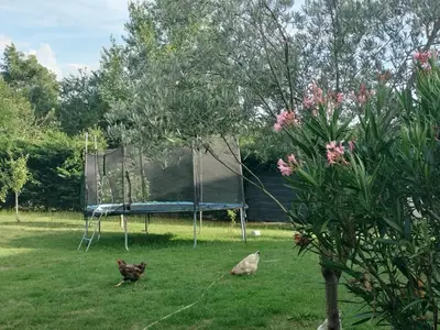 Jardin de l'établissement un studio avec une entrée indépendante