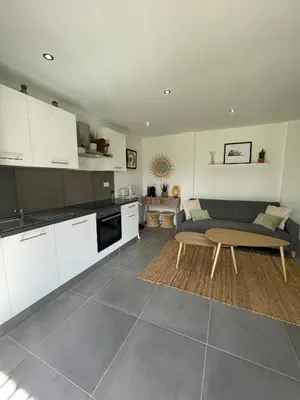 Cuisine ou kitchenette dans l'établissement Le beau studio du bord de l'eau