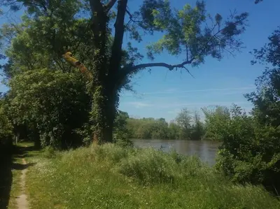 Paysage naturel près de la maison de vacances