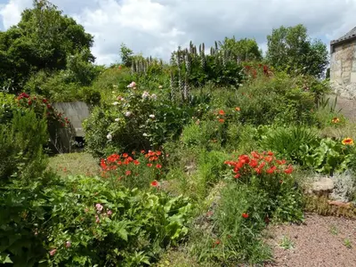 Jardin de l'établissement Gîte Val de Loire 