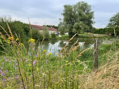 Paysage naturel près de le séjour chez l'habitant