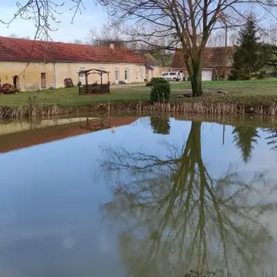 Au repos du Lezard