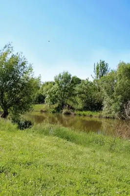 Paysage naturel près de la maison de vacances