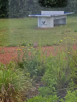Jardin de l'établissement Au repos du Lezard , Reves Vénitiens