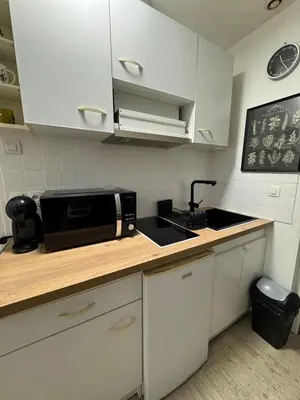 Cuisine ou kitchenette dans l'établissement Le nid citadin - avec place de parking