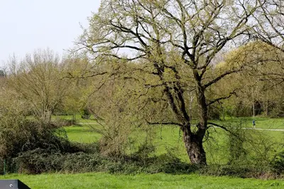 Paysage naturel près de le B&B/chambre d'hôtes