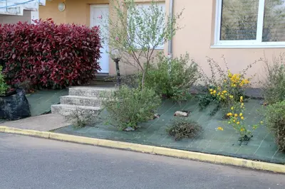 Jardin de l'établissement Résidence Pointe de la Verdure
