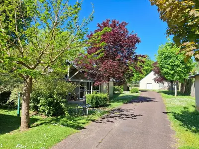 Jardin de l'établissement Village Vacances Les Fontenils