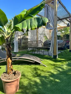 Jardin de l'établissement La chambre verte du gite de vendome