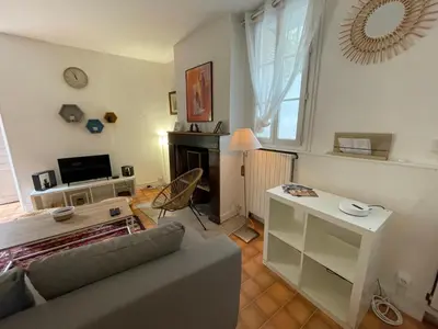 Télévision ou salle de divertissement dans l'établissement Charmante Maison La Source 2p 50m2 Quartier Paul Bert