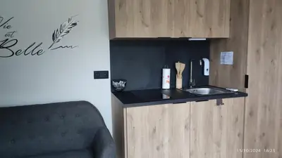 Cuisine ou kitchenette dans l'établissement Studio Smarty