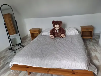 Un ou plusieurs lits dans un hébergement de l'établissement Chambre spacieuse