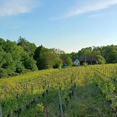 Gîte au coeur d'un vignoble