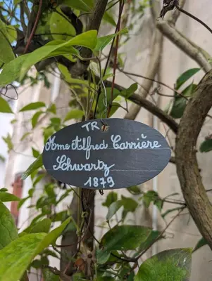 Jardin de l'établissement La rose d'Alfred