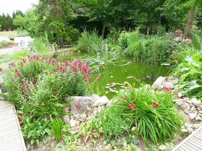 Jardin de l'établissement Gîte tout confort avec grand jardin, cheminée, clim et WIFI, proche châteaux de la Loire et ZooParc de Beauval - FR-1-491-400