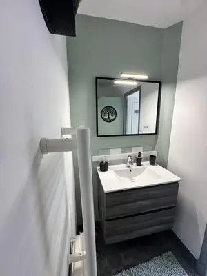 Salle de bains dans l'établissement Le cosy charmeur Climatisé avec patio