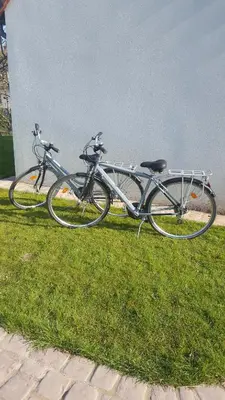 Vélo sur le terrain de l'établissement Gîte studio 2 pers Le Bleuet entre Loire et Sologne ou dans les environs