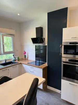 Cuisine ou kitchenette dans l'établissement Appartement proche de Tours