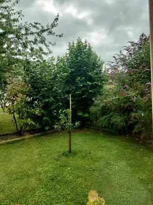 Jardin de l'établissement Les hunaudieres 4 chambres - 4 lits doubles