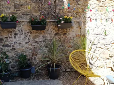 Jardin de l'établissement Le Modern Minimal