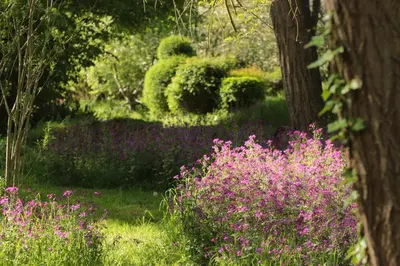 Jardin de l'établissement Le chant du coucou