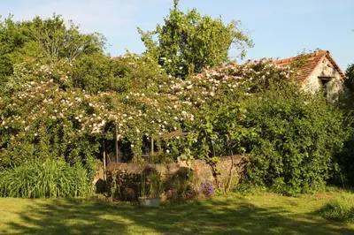 Jardin de l'établissement Le chant du coucou