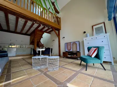 Télévision ou salle de divertissement dans l'établissement la Maison sous les Arbres - Duplex, jardin et spa