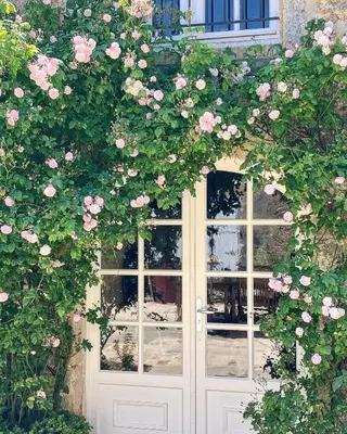 Jardin de l'établissement Maison de vacances avec piscine chauffée, jacuzzi et jardin privé - proche circuit des 24h du Mans
