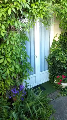 Jardin de l'établissement Logement tranquille et frais proche gare au RDC